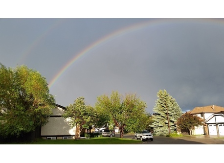 Our house is the white one on the left. This is our street.