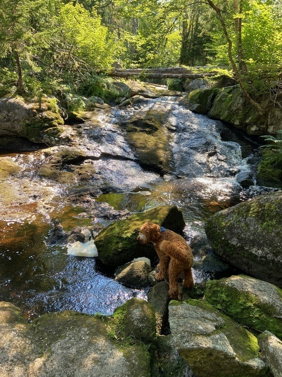 Hike 20 minutes by car 