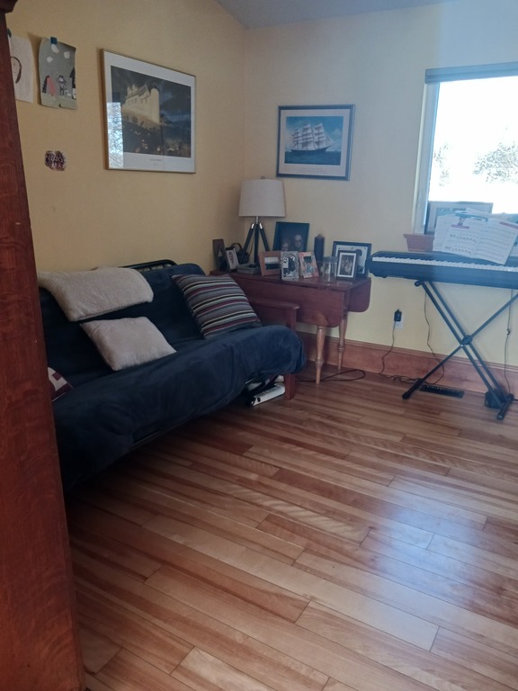 Spare bedroom with futon