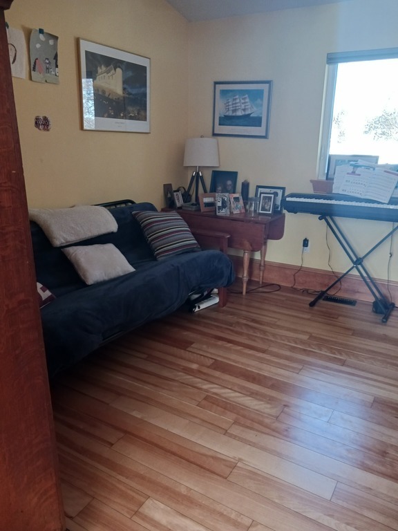 Spare bedroom with futon