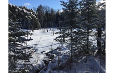 lac en hiver dans la foret derrière chez nous