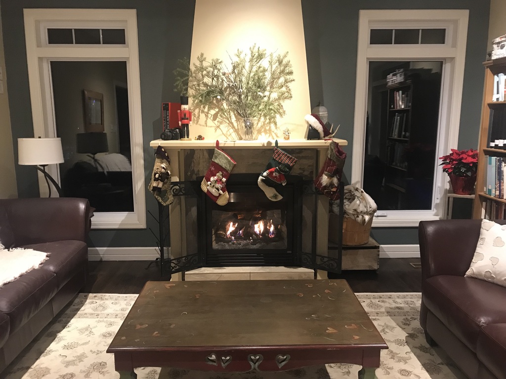 Salon en hiver/living room winter time