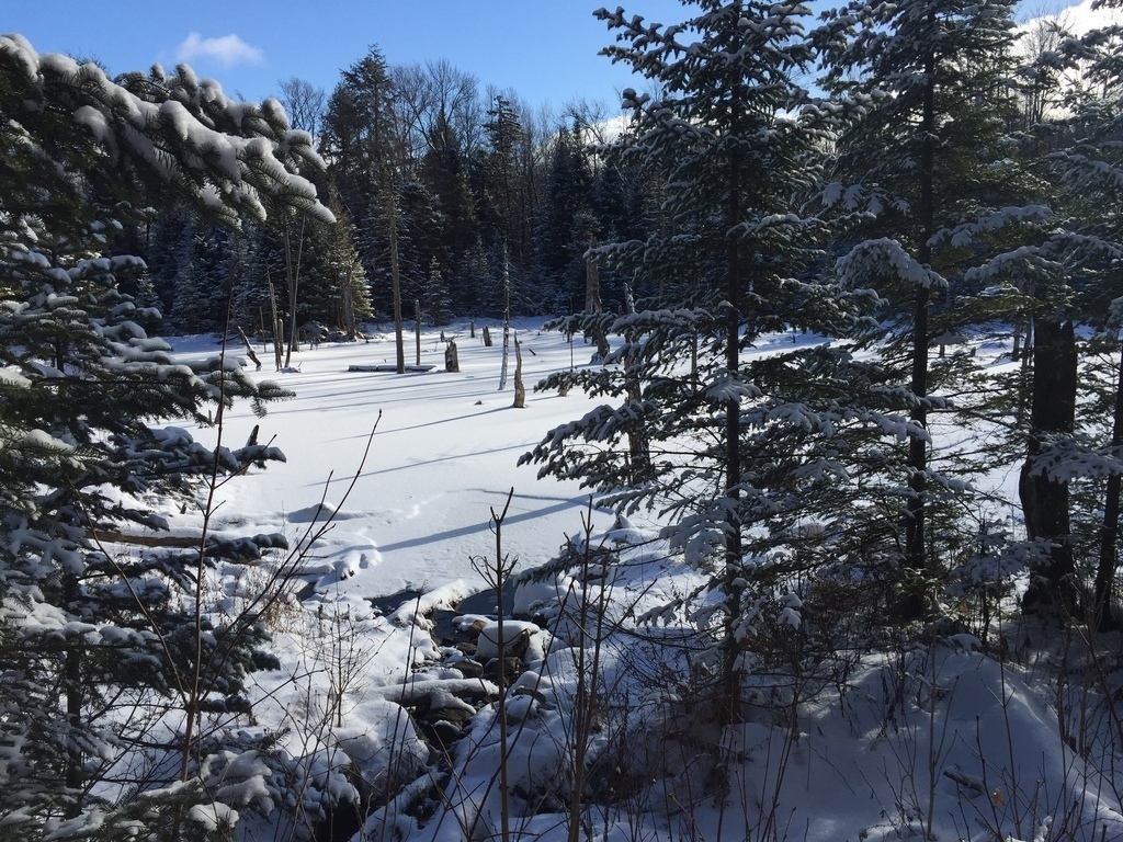 lac en hiver dans la foret derrière chez nous