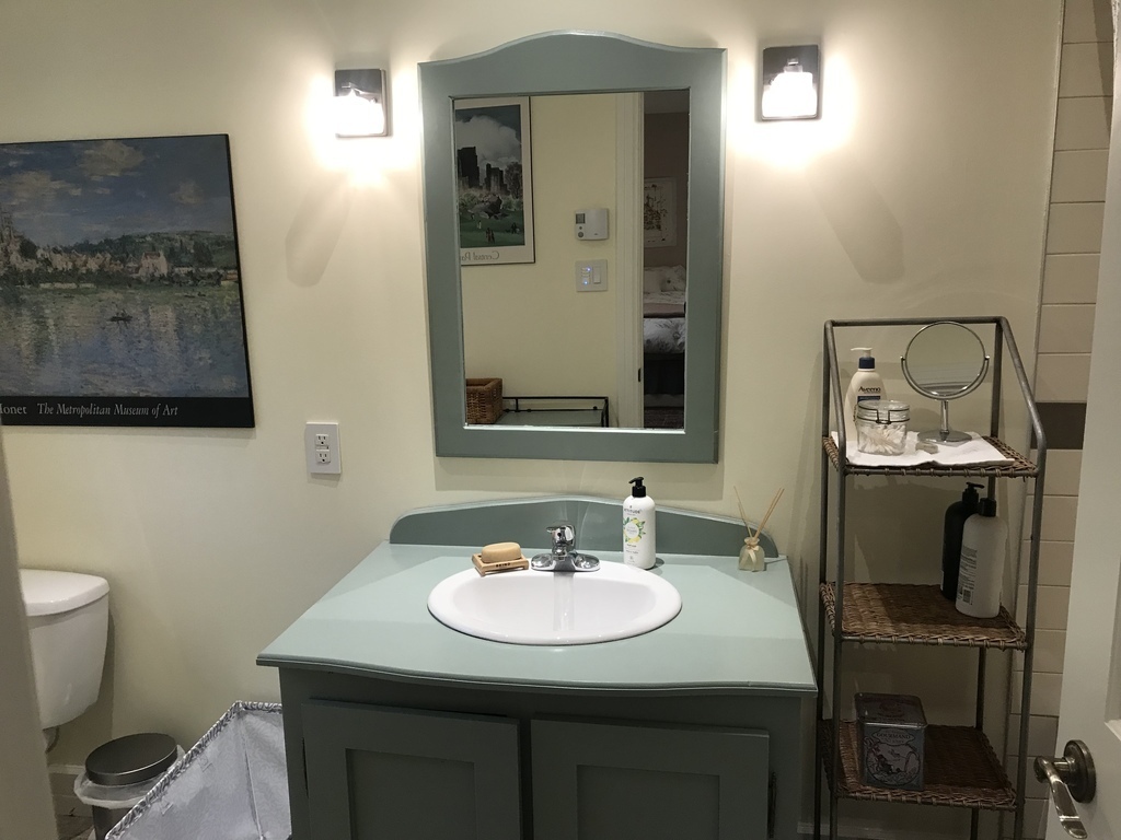 Salle de bain en bas/ downstairs bathroom