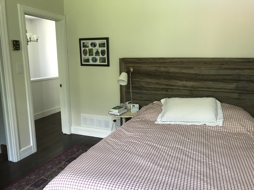 Chambre principal/master bedroom