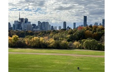 Riverdale Park - a walk away from our house - a great view of Toronto