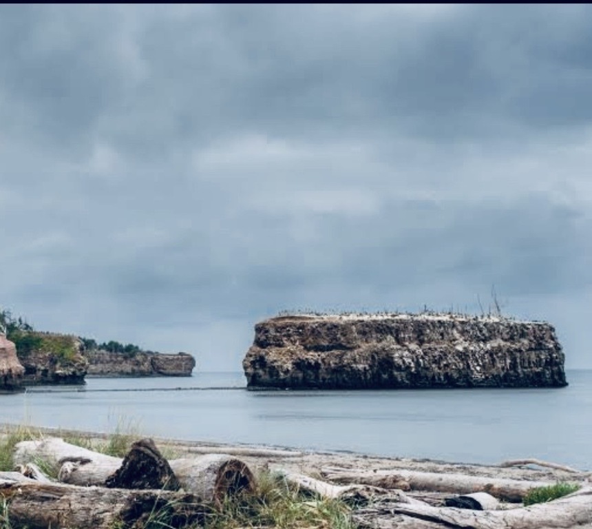 site d’observation d’oiseaux Pokeshaw Rock 