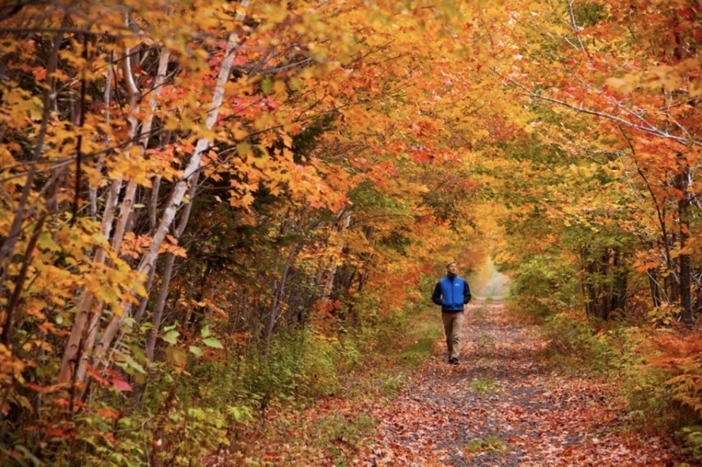 l’été indien en octobre. photo dans un sentier de Caraquet
