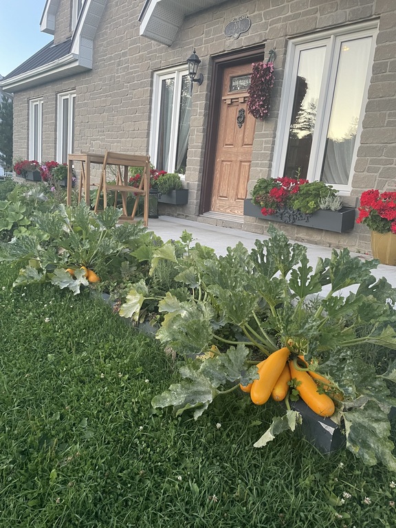 libre service dans le potager