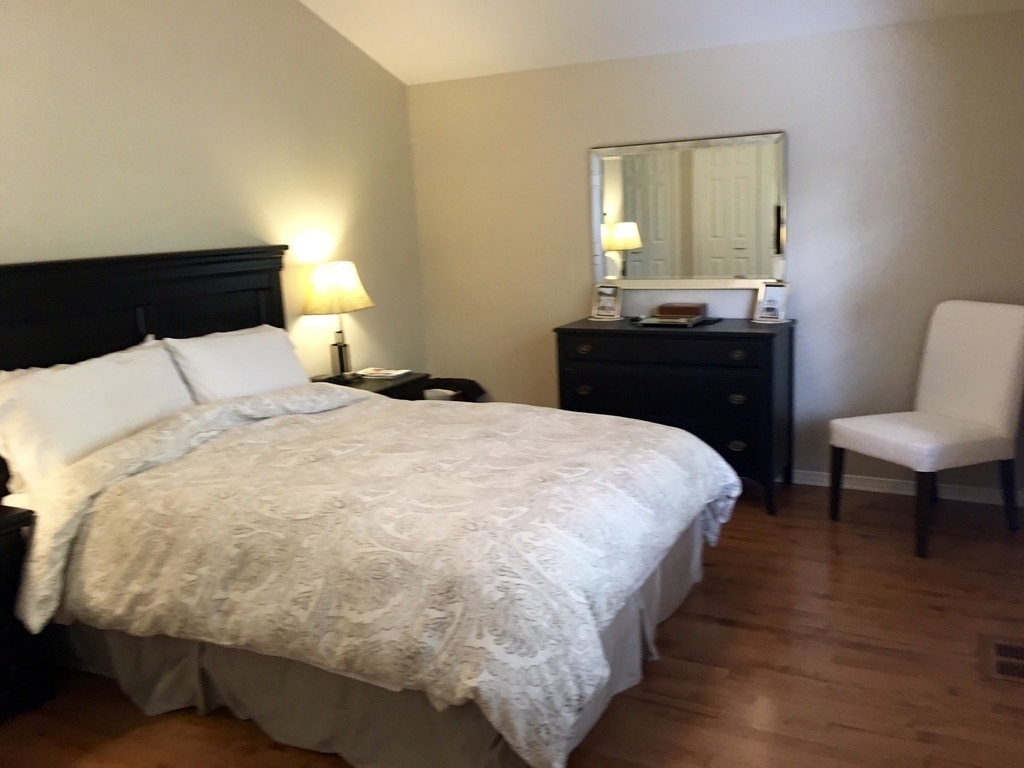 Master bedroom (queen size bed)/chambre principale