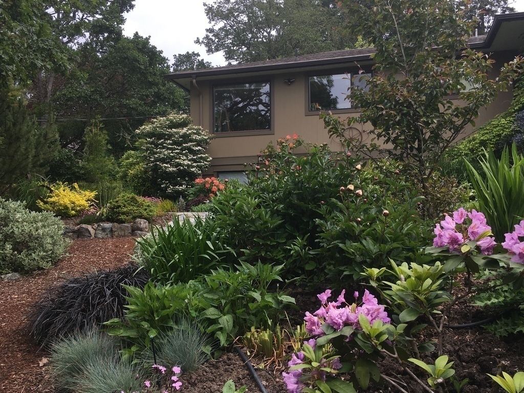 View of front of house from garden