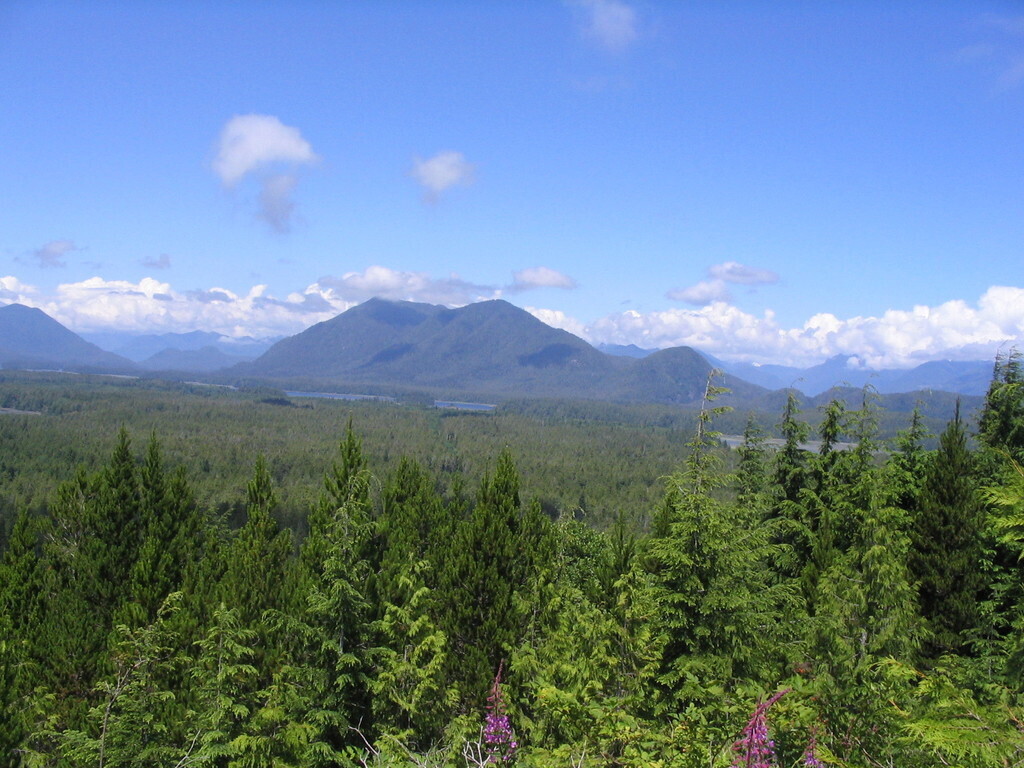 Near Tofino, Long Beach