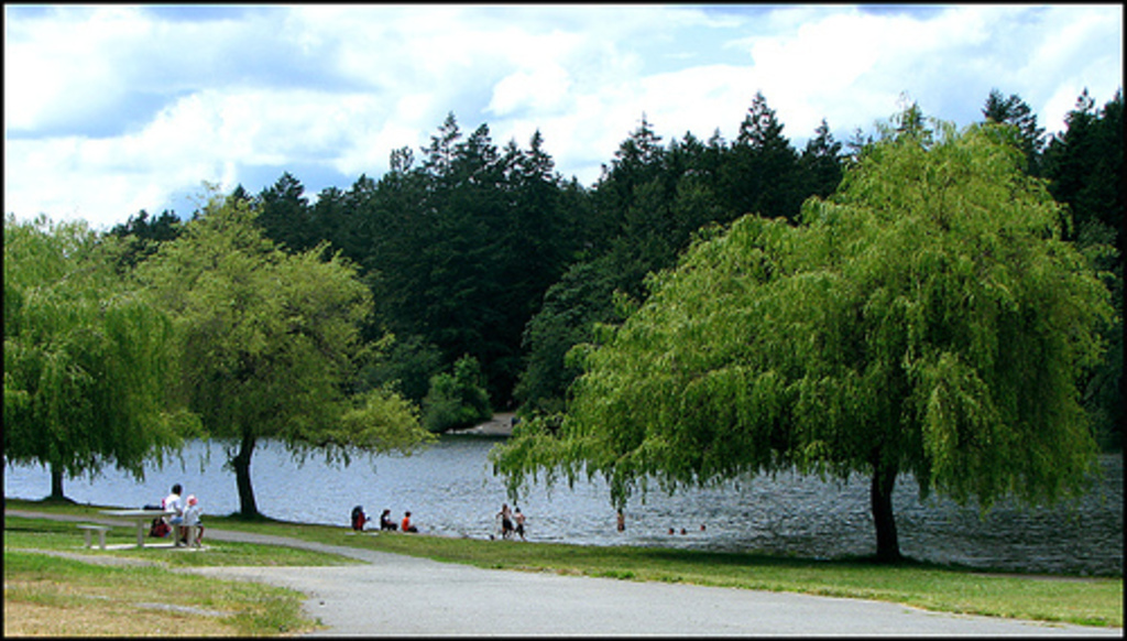 Beaver Lake, a 15 minute walk from the house