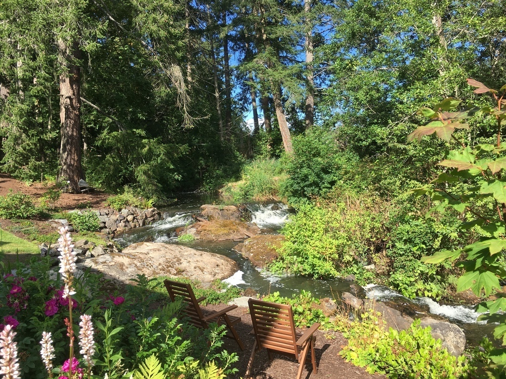 Backyard and stream