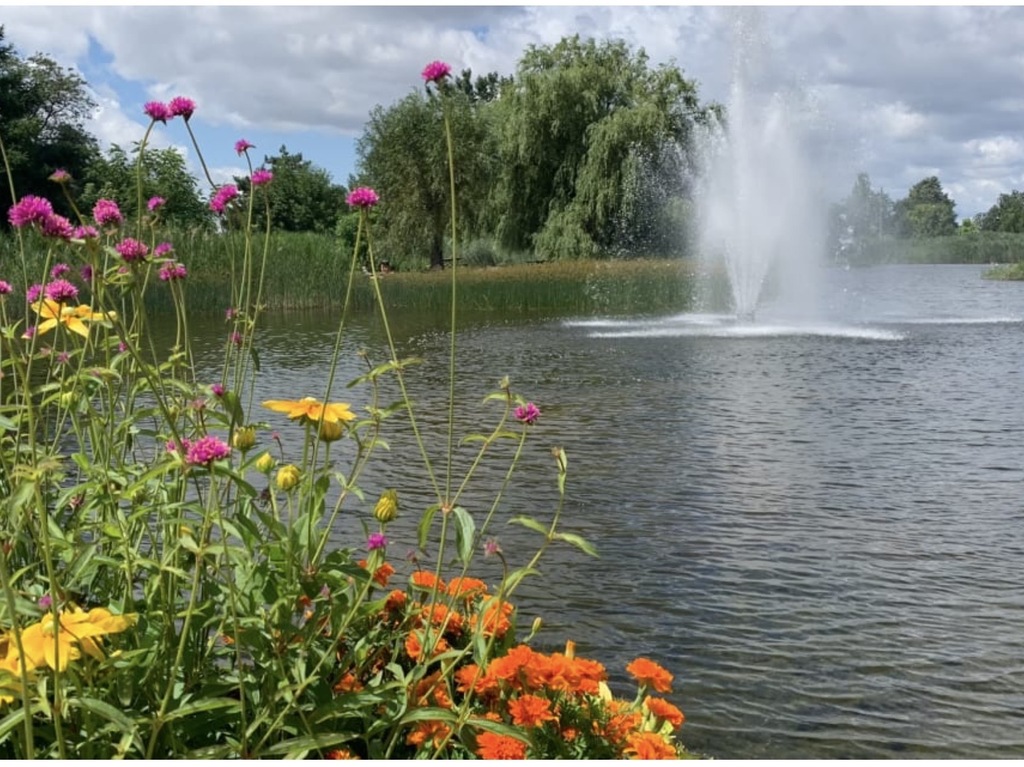 Fontaine parc Jarry