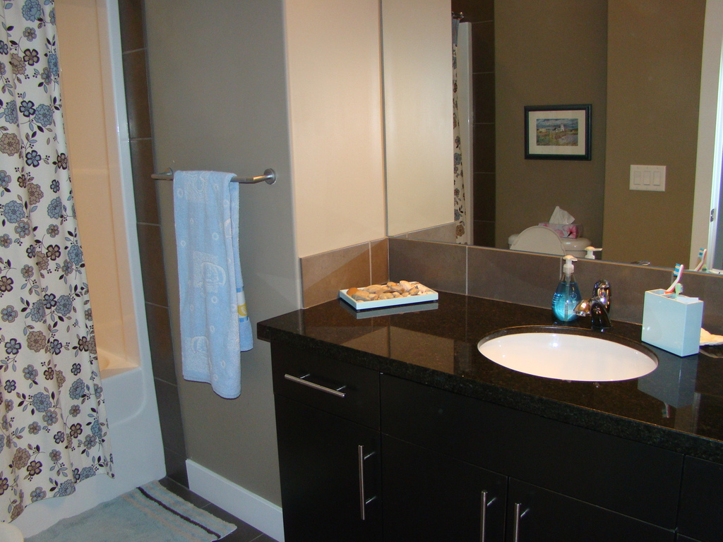 One of the other bathrooms