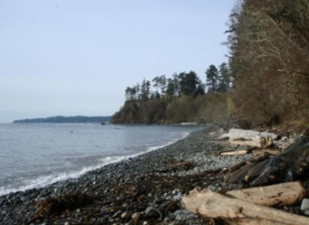 Our neighbourhood beach only a few steps from our home