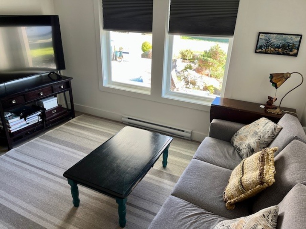 Tv den with queen hide a bed sofa 