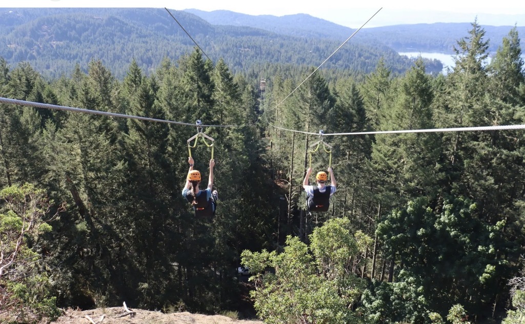 Forest zip lining 