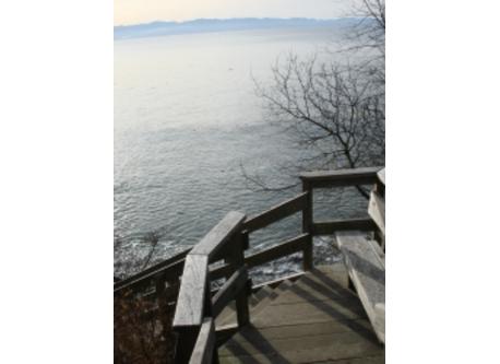 Stairs to beach 
