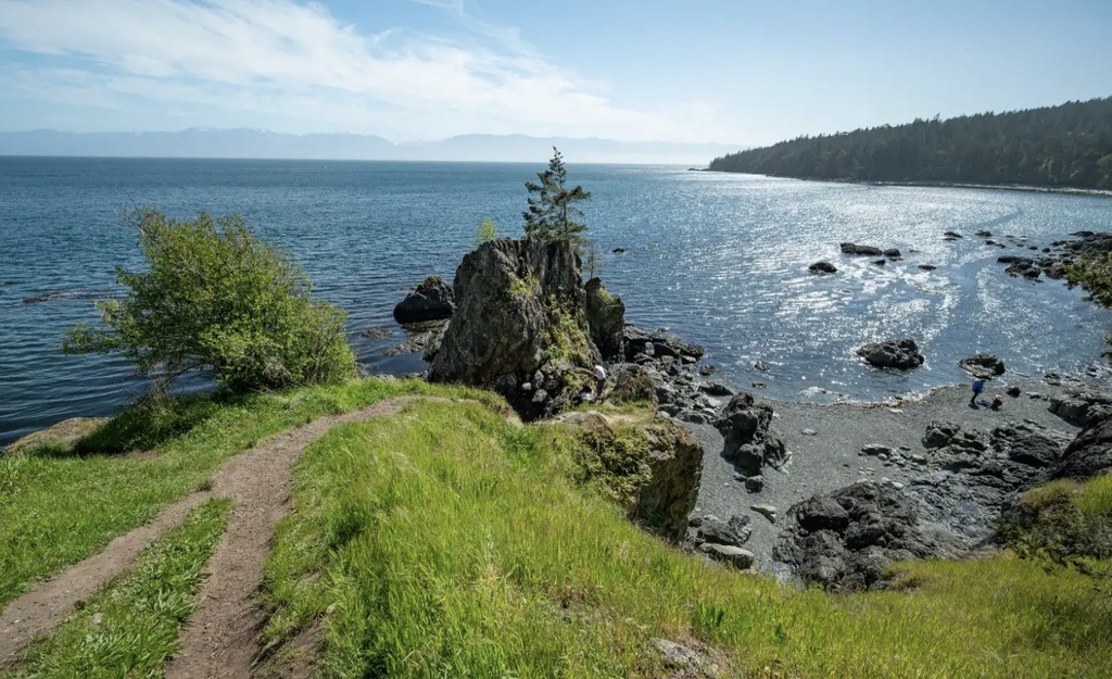 Beautiful hiking trails in East Sooke Park