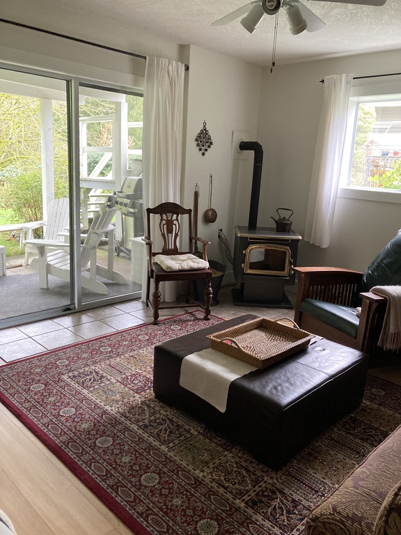 Downstairs play room