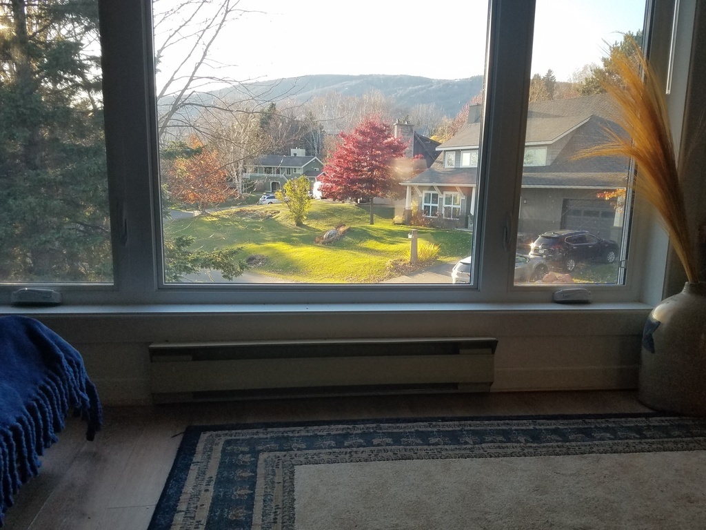 Vue vers la montagne. View towards the mountain. Blick auf den Berg.