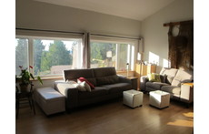 Salon bien éclairé. Well lighted living room. Gut beleuchtetes Wohnzimmer