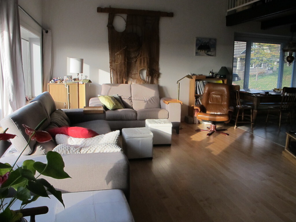 Salon. Living room. Wohnzimmer