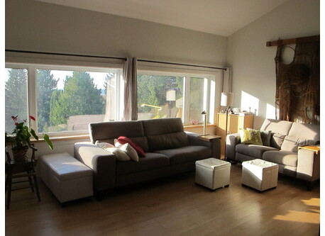 Salon bien éclairé. Well lighted living room. Gut beleuchtetes Wohnzimmer