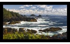 West coast of Vancouver Island - 1 hour away by car