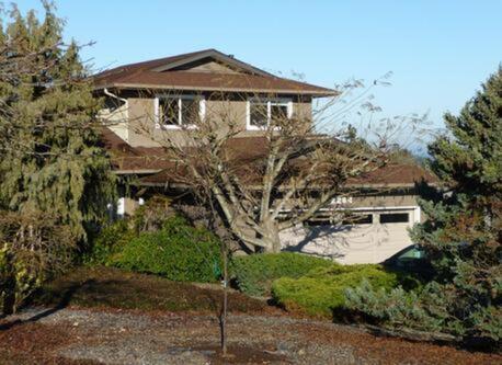 Our home in winter - the garden is full of blossoming trees and shrubs in summer