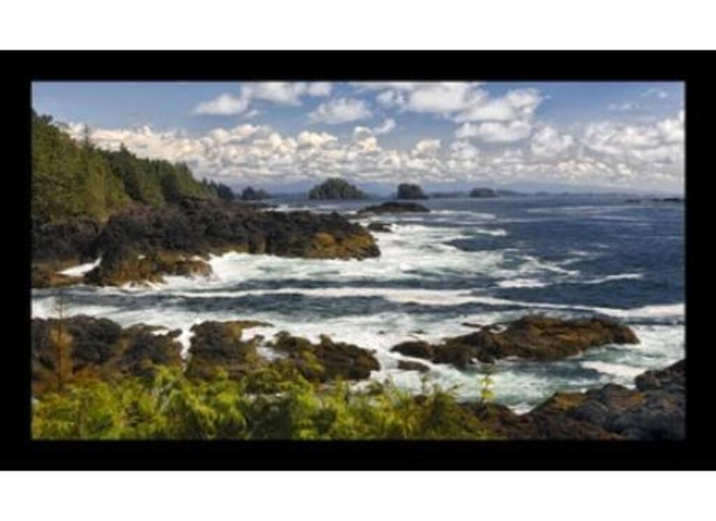 West coast of Vancouver Island - 1 hour away by car