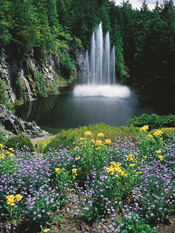 Butchart Garden - minutes away by car or bus