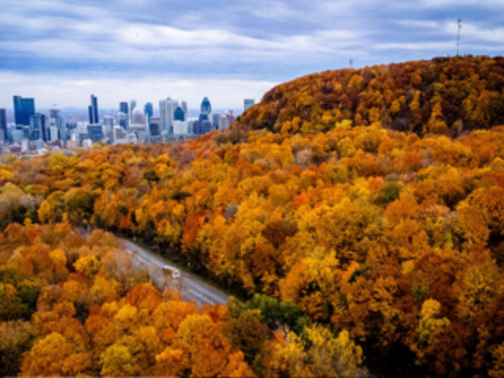 Vue de Montréal du Mont-Royal un jour d'automne
