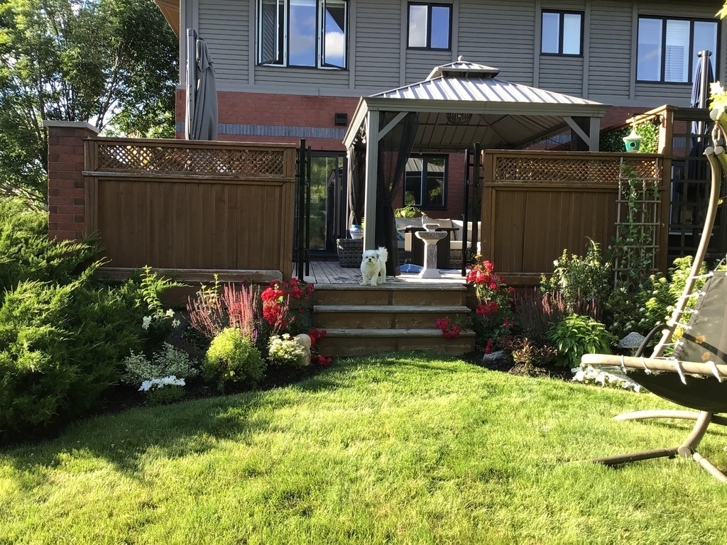 Arrière de la maison, espace gazonné entouré d’arbres