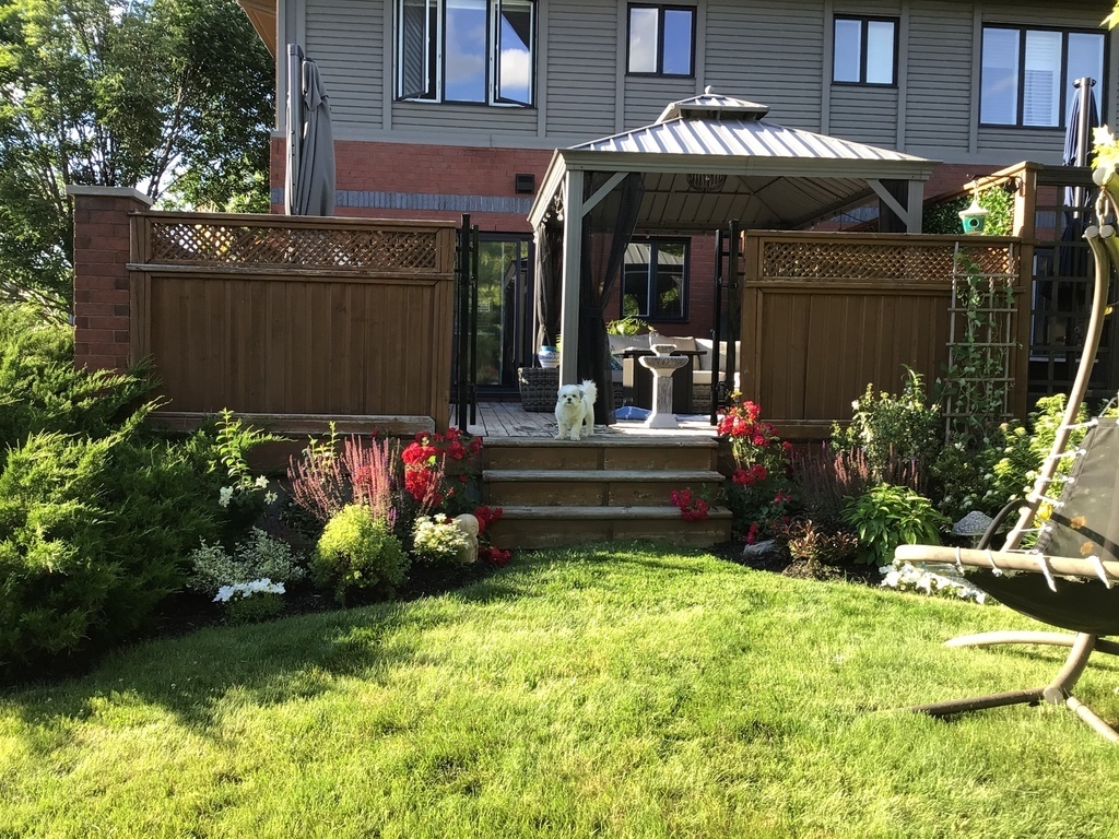 Arrière de la maison, espace gazonné entouré d’arbres
