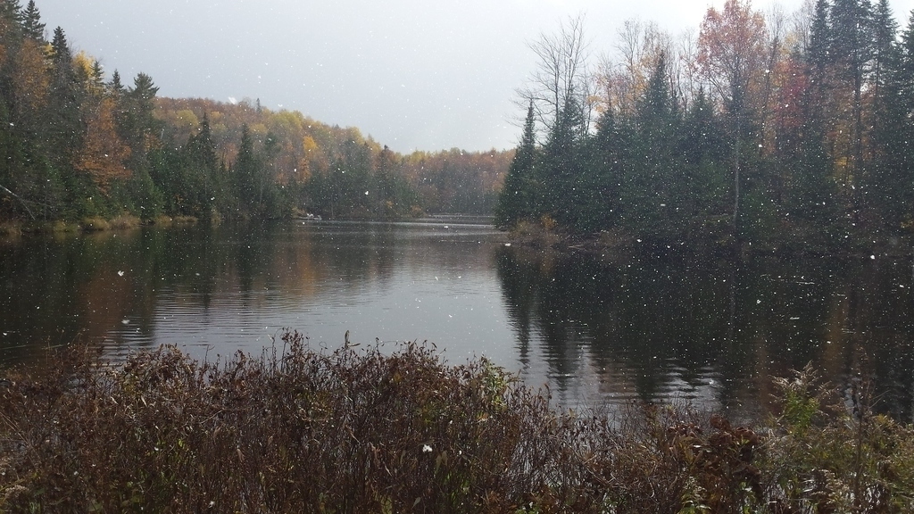 Notre lac, vu du bord du Chemin principal.
