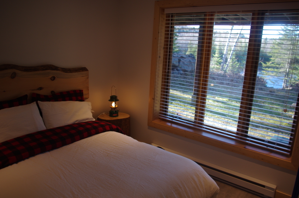 Chambre du sous-sol (photo 2 - vue et accès au lac)