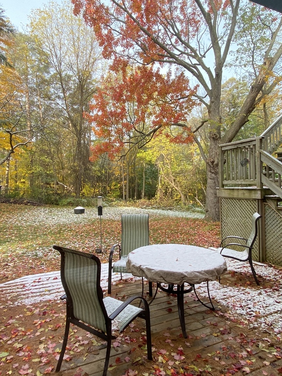 Autumn colours on display 