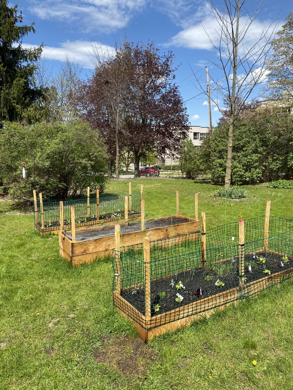 We like to grow our own vegetables 