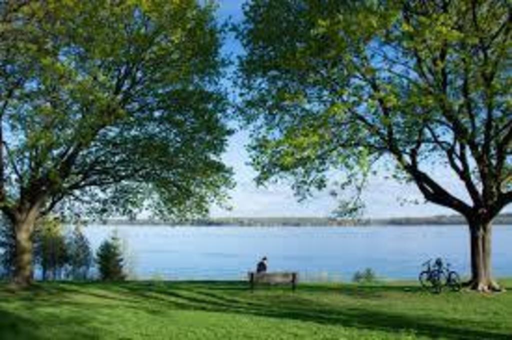 A quiet place to sit by the South Shore 