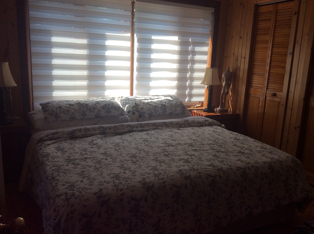 Chambre Rez de chaussée, lit king