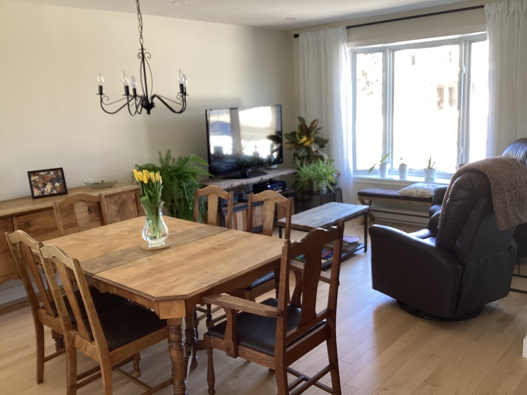 Salle à manger et salon 