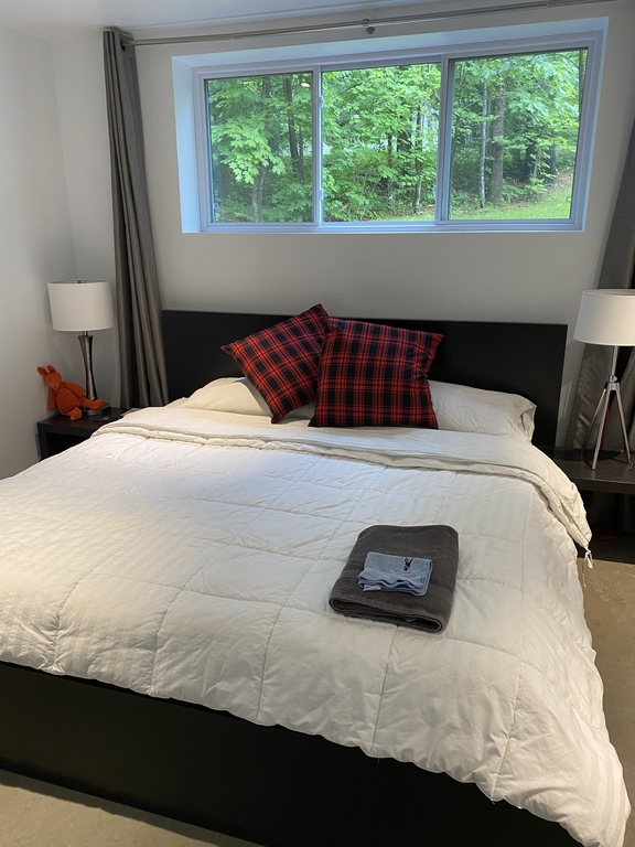 Guestroom #1 - with king bed