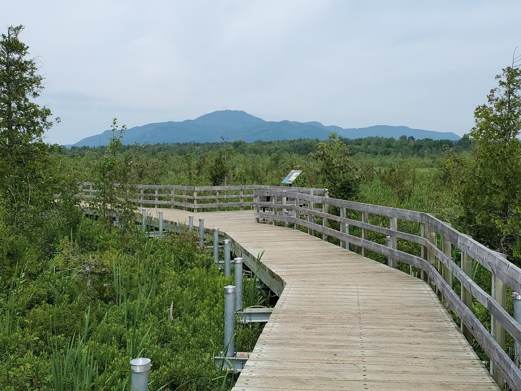 Boardwalk along the Cherry River Marsh/Magog with Mont-Orford view