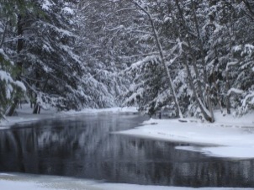 river above Ragged Falls, 10 minutes drive from cottage