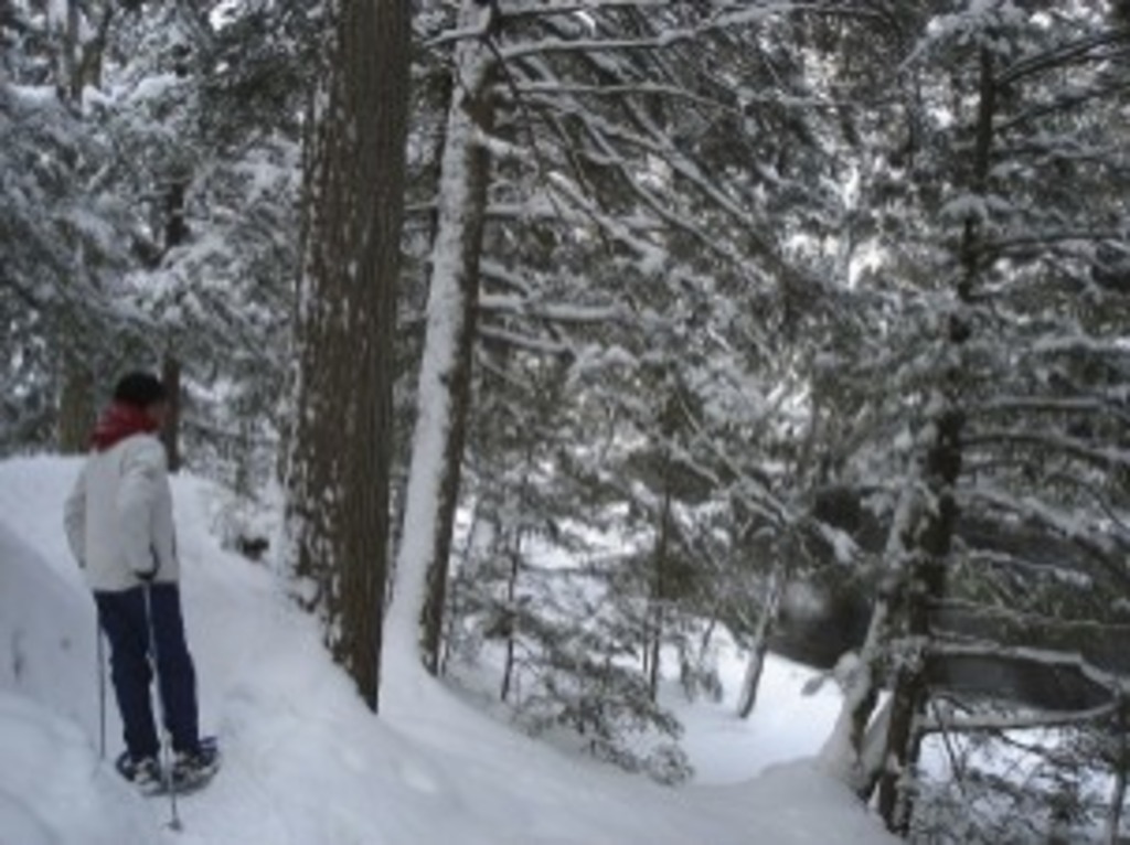 Snowshoeing at Ragged Falls, 10 minutes drive from cottage