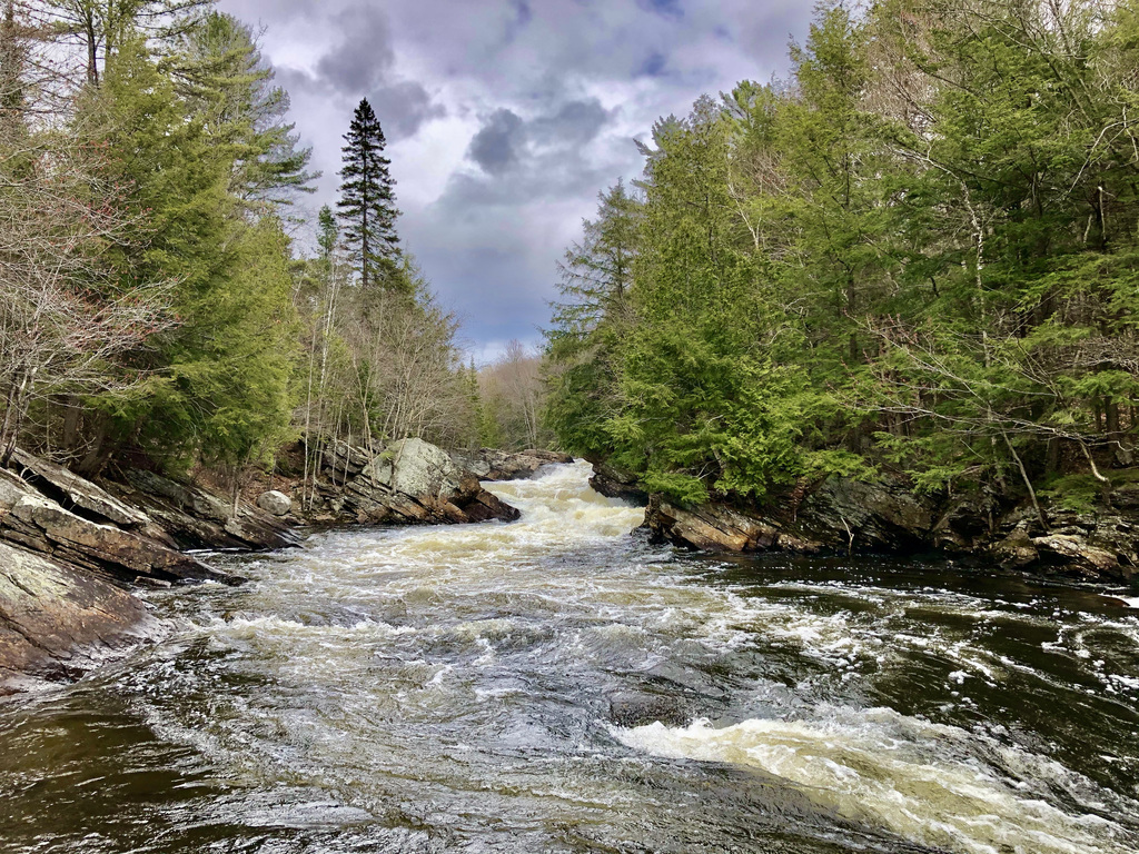 A favourite picnic spot along the Oxtongue River, just 10 minutes away