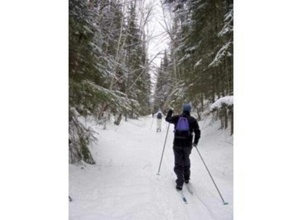 Skiing in Algonquin Park